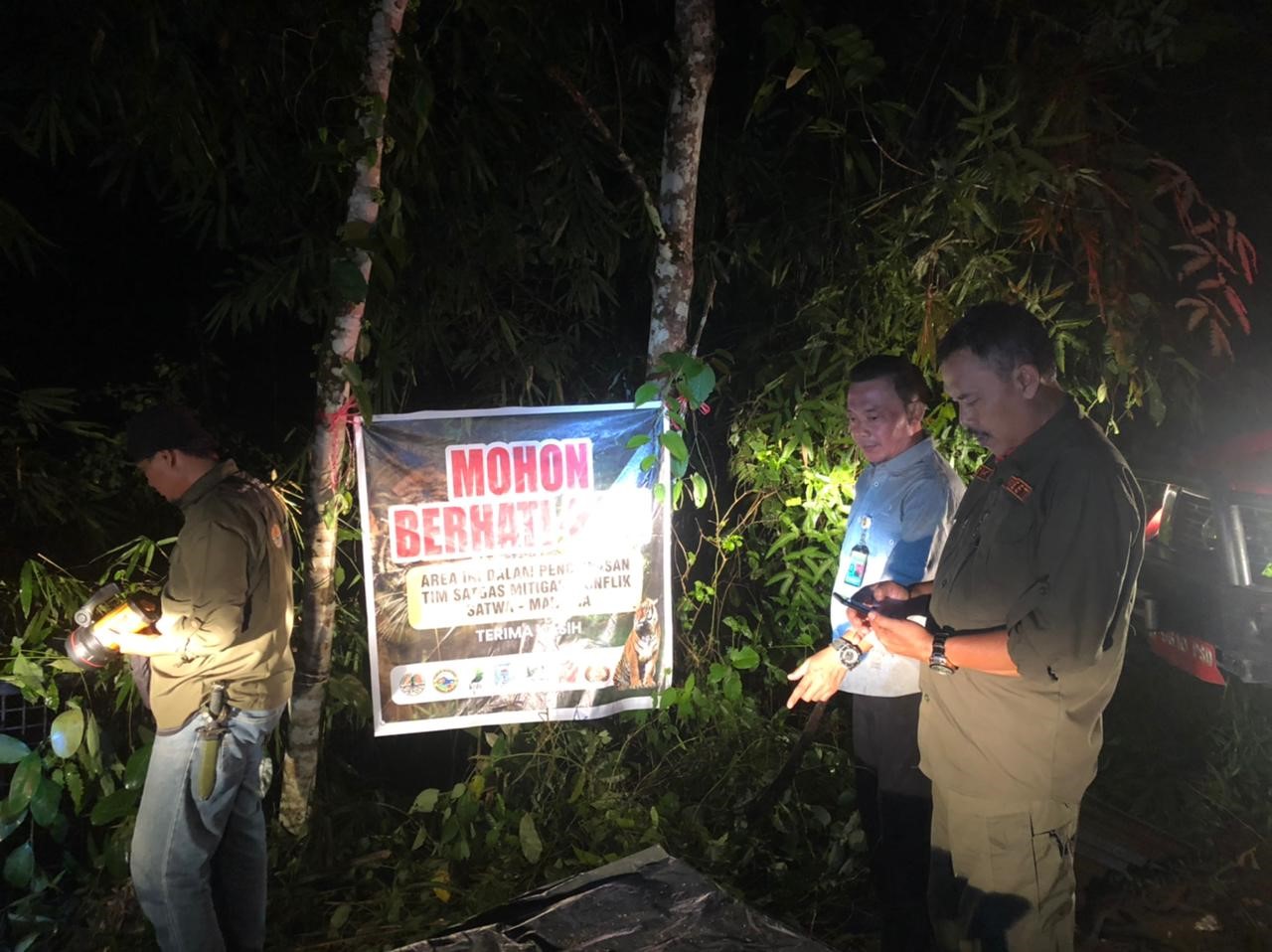 BKSDA Jambi bertindak cepat atas kasus harimau terjebak